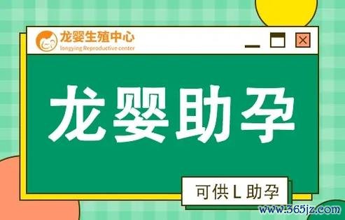 供卵助孕服务助您开启新生命旅程