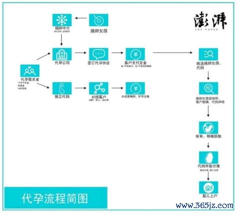 俄罗斯代孕试管婴儿服务流程及优势解析