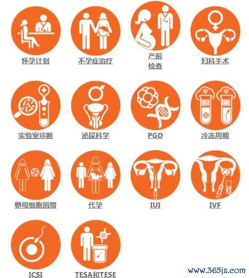 俄罗斯助孕服务详解,跨国生育合法途径全面解析 俄罗斯助孕服务详解,跨国生育合法途径全面解析