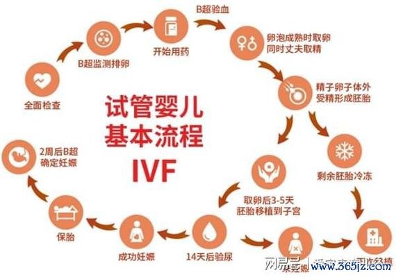 俄罗斯正规助孕网提供优质服务,跨境助孕咨询了解 俄罗斯正规助孕网提供优质服务,跨境助孕咨询了解